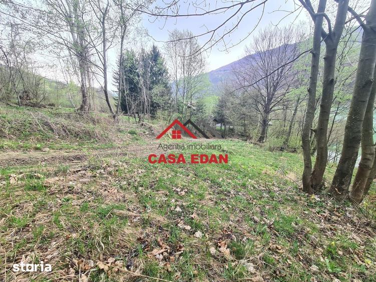 Teren de 1000 mp, în Valea Doftanei
