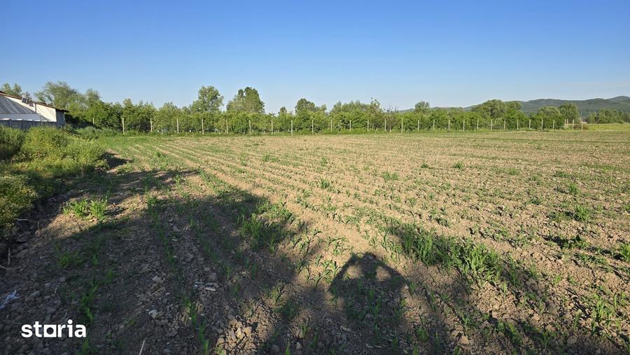 Teren de 2900 mp, în Ciceu-Mihăiești