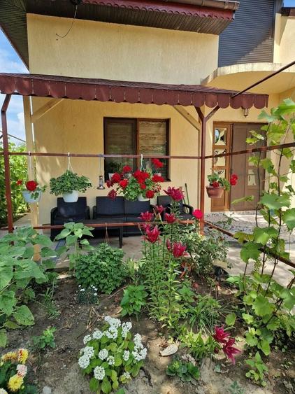 Casă cu 3 camere în Beba Veche