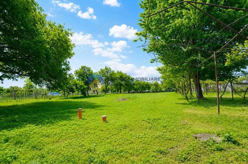 Casă cu Teren 1235 Mp în Rediu