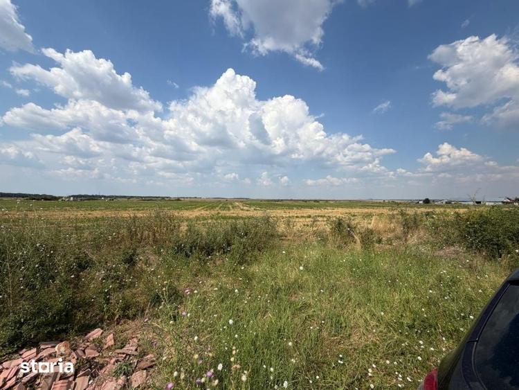 Teren de 12000 mp, în Cârcea