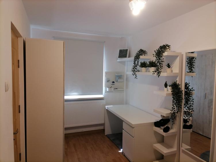 Apartament cu 2 camere nedecomandat în Brotăcei