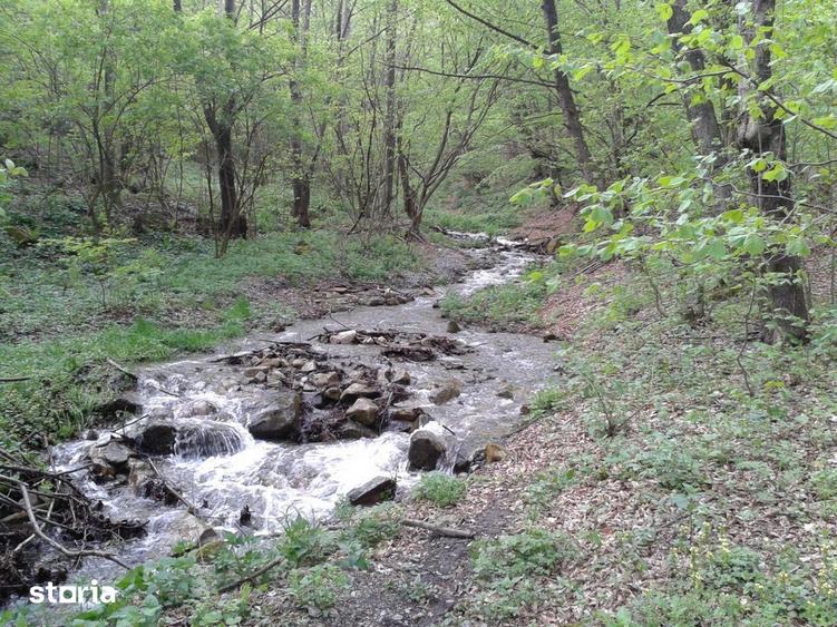 Teren de 5700 mp, în Râu de Mori
