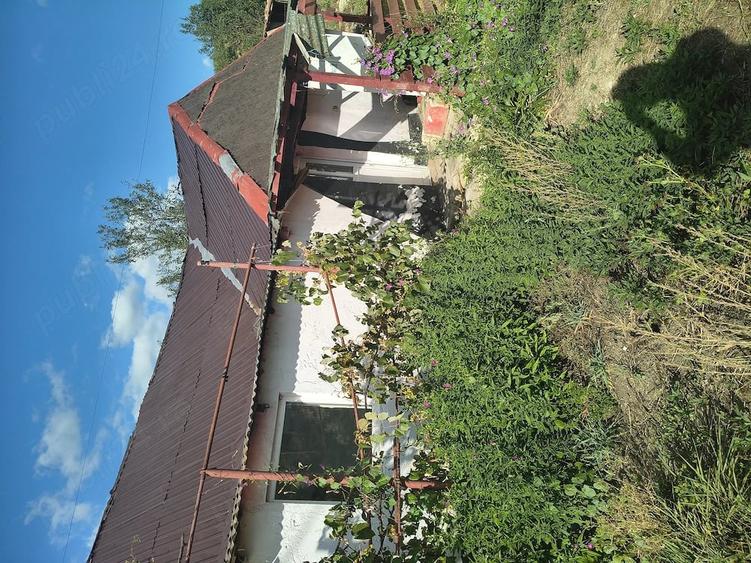 Vand casa in Caianu-vama - 3