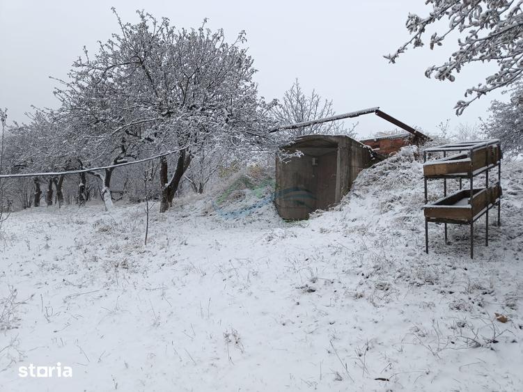 Casă cu 4 camere cu Teren 4863 Mp în Coșna