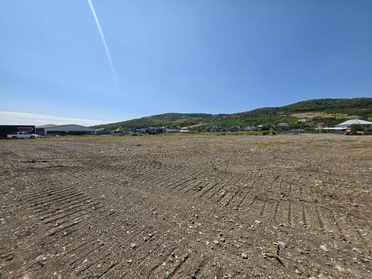 Teren Construcții intravilan de 11664 mp, în Tomești