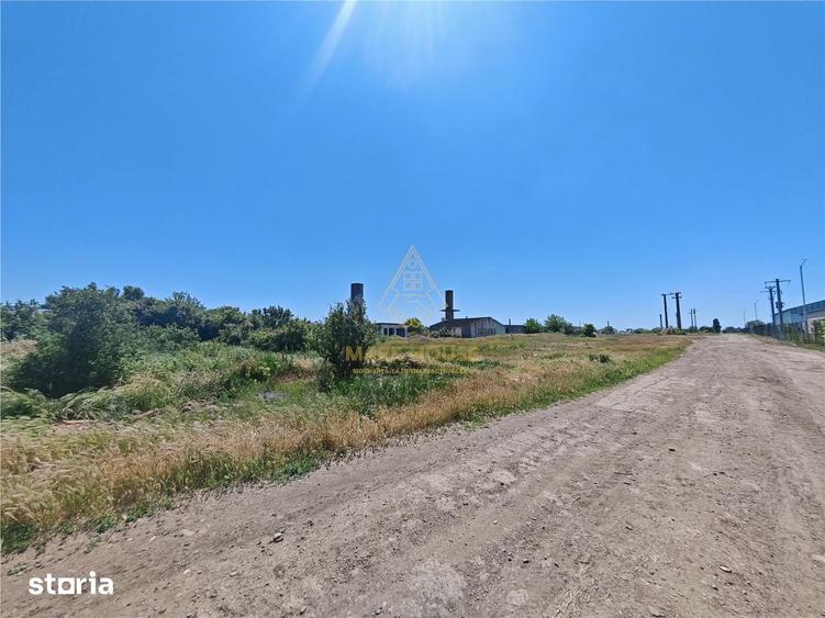 Teren de 58664 mp, în Vadu Pașii