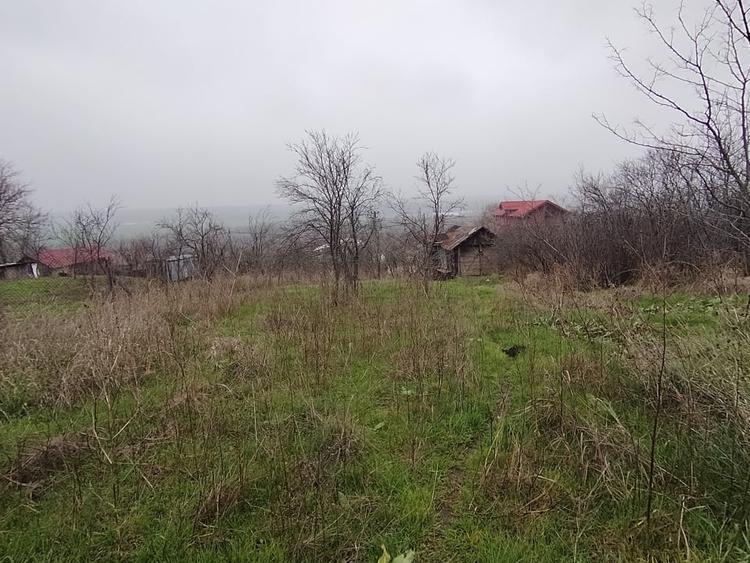 Teren Construcții intravilan de 2000 mp, în Brestei