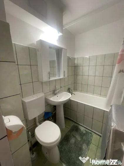 Garsonieră în Brazda lui Novac