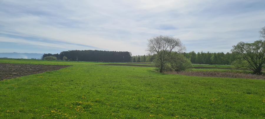 Teren agricol extravilan de 2100 mp, în Reci