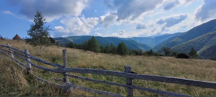 Casă cu Teren 50000 Mp în Central