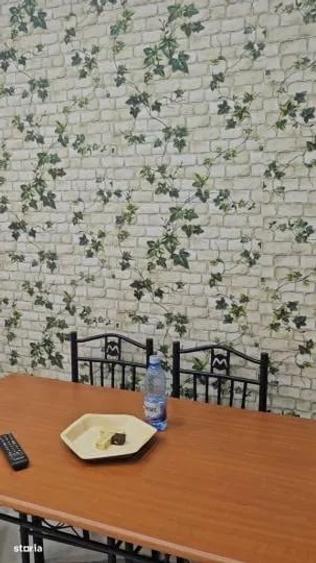 Apartament cu 3 camere decomandat, mobilat în Theodor Pallady