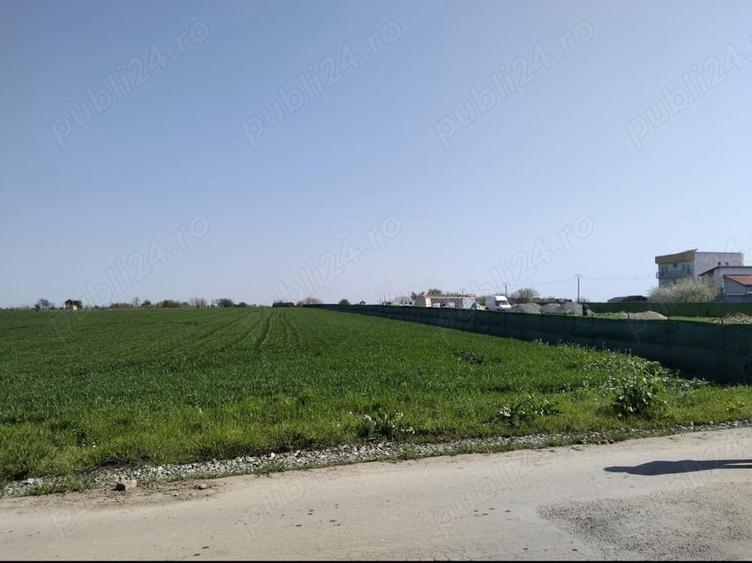 Teren de 5000 mp, în Schitu