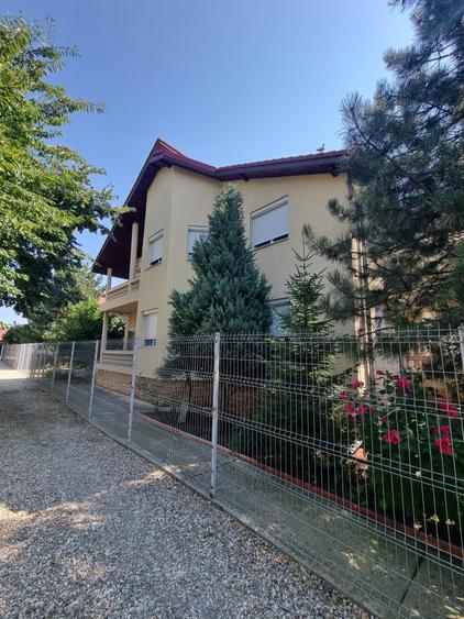 Pipera - 4