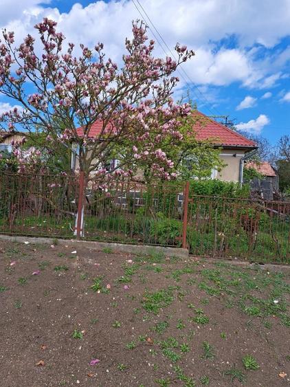 Casă cu 3 camere în Stupini