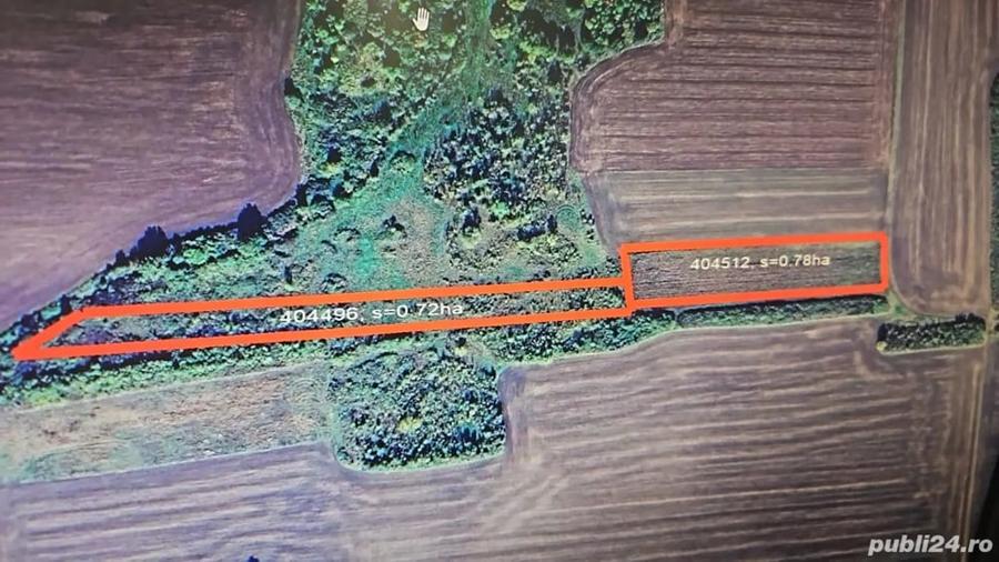 Teren de 15000 mp, în Folea