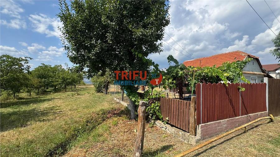 Teren Construcții intravilan de 10651 mp, în Ampoi 1