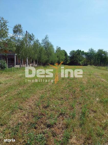 Teren de 12500 mp, în Drajna