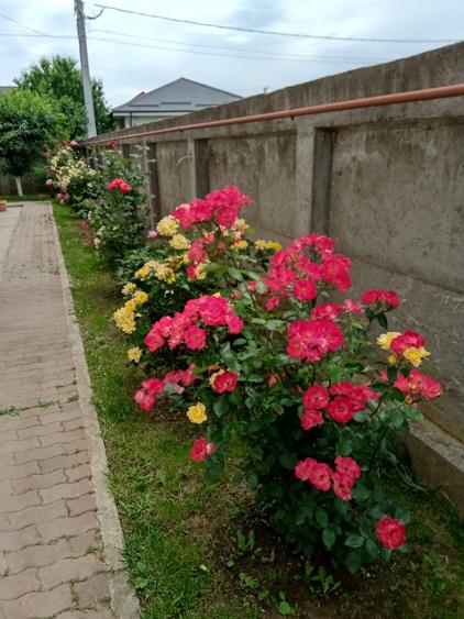 Casă individuală cu 7 camere cu Canalizare în Măgurele