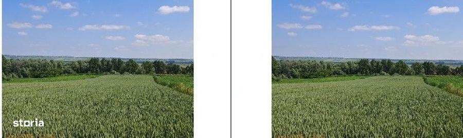 Teren de 1300 mp, în Salcea
