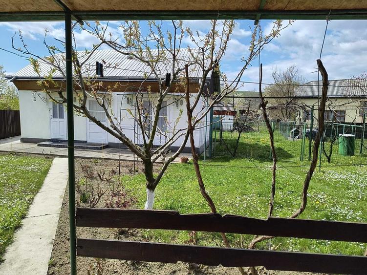 Casă cu 3 camere cu Teren 2700 Mp în Central
