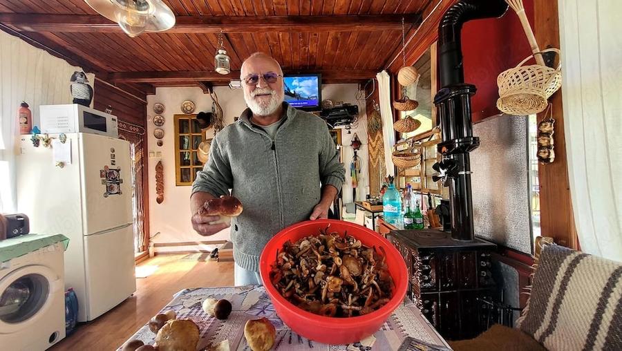 Casă cu Teren 1800 Mp în Cosmina de Sus