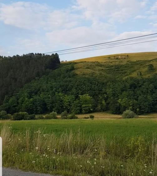 Teren Construcții intravilan de 900 mp, în Luna de Sus