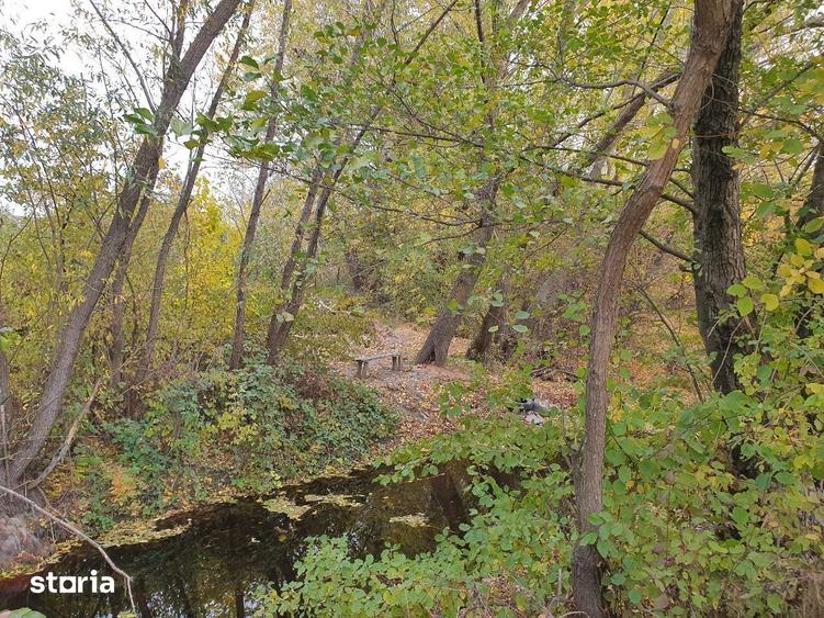Teren de vanzare Dumbrava Minunata in Domnesti, Ilfov - 9