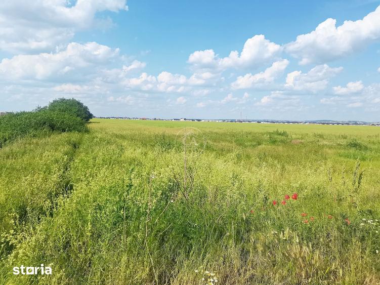 Teren intravilan de vanzare in Santandrei, Bihor - 3