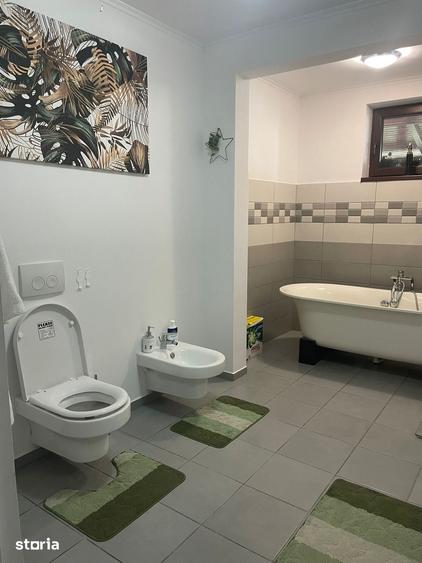 Casă cu 3 camere cu Teren 11000 Mp în Burdea