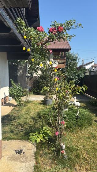 CASA LA CHEIE ! - 6