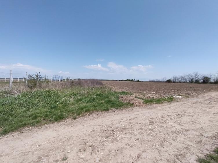Teren Construcții intravilan de 22294 mp, în Tărtășești