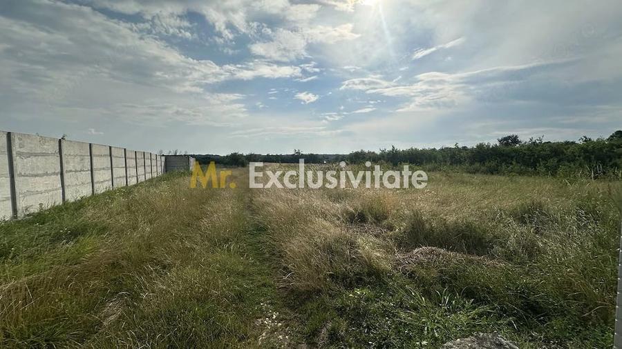 Teren de 530 mp, în Albota