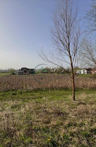 Casă individuală cu 6 camere cu Teren 27394 Mp în Nord-Est