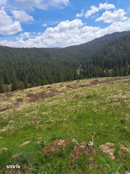 Teren de 5 mp, în Beliș