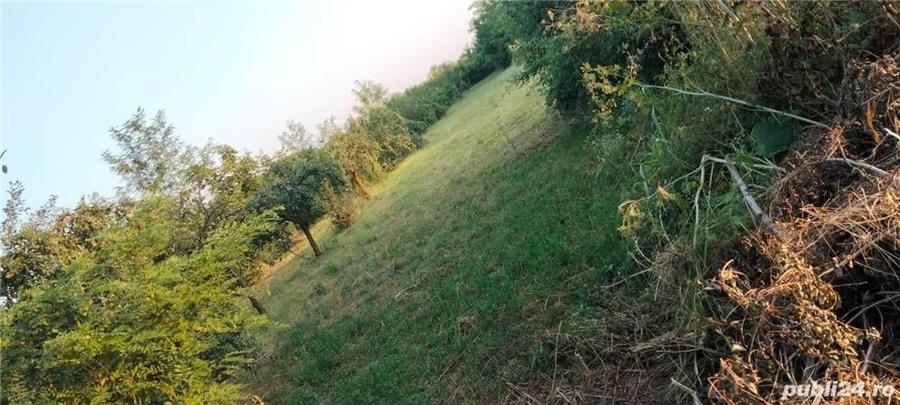 Teren în Măgurele