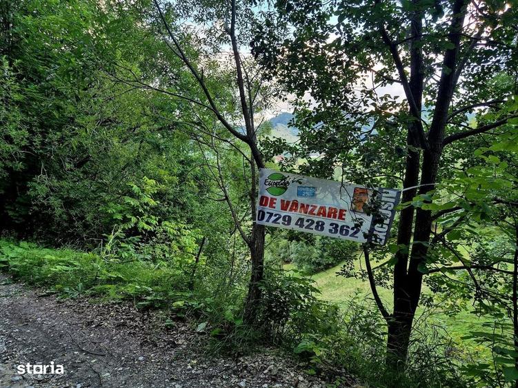Teren investitie 8635 mp extravilan , Pestera Brasov - 13