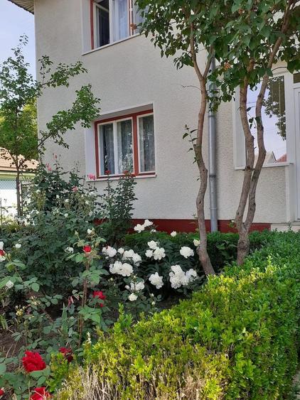 Casă cu 8 camere cu Teren 750 Mp în Tache