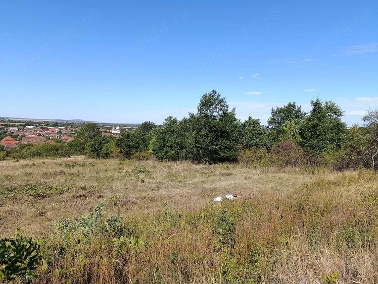 Teren de 3016 mp, în Central
