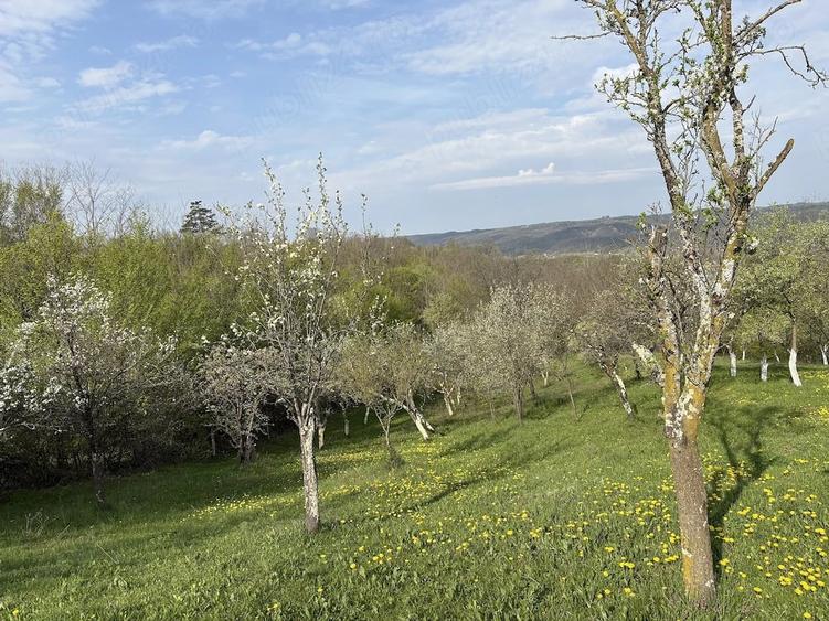 Teren de 5200 mp, în Măncioiu