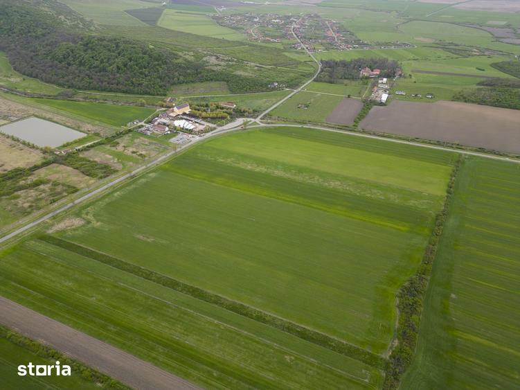 Teren de 22500 mp, în Ineu