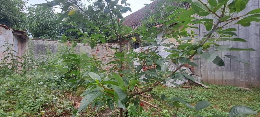 Casă individuală cu 2 camere cu Canalizare în Beclean