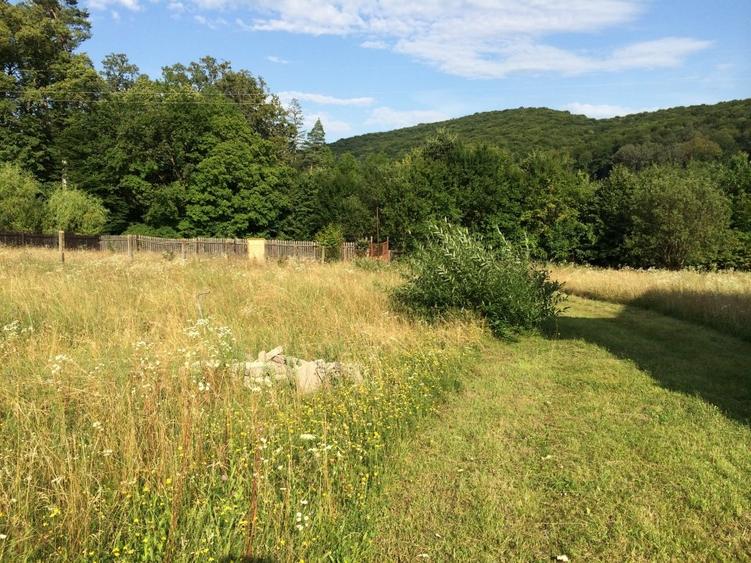 Casă individuală cu 4 camere cu Teren 10000 Mp în Araci