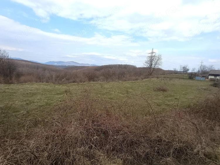 Teren de 7712 mp, în Cărbunari