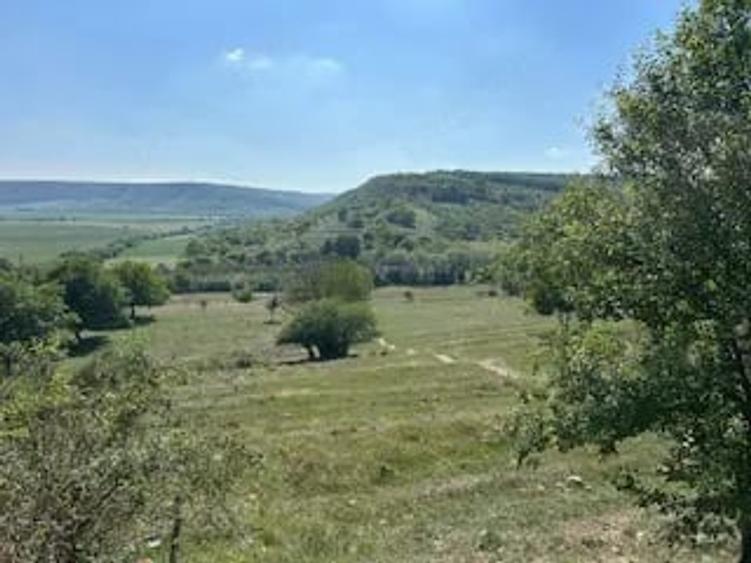 Teren de 3300 mp, în Central