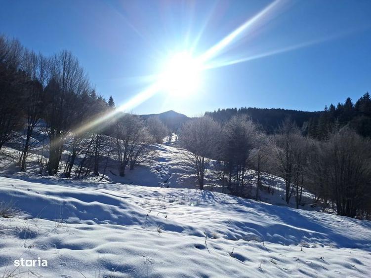 Teren de 8700 mp, în Tărlungeni