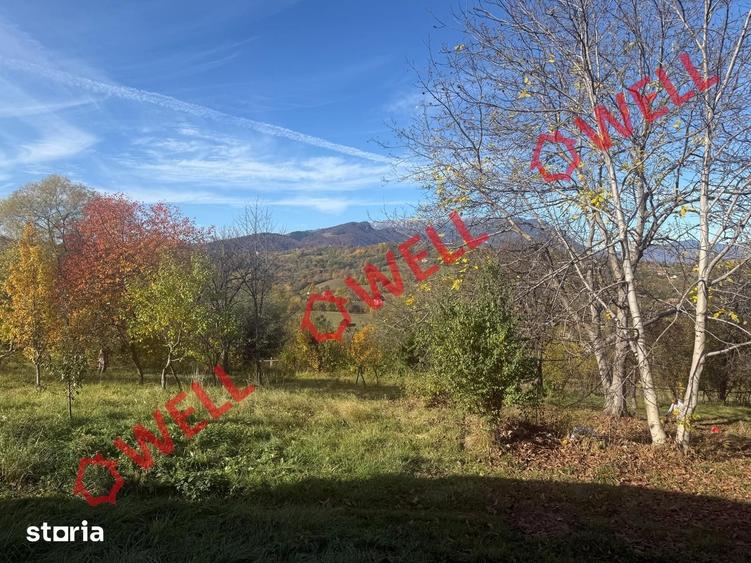 Casă cu Teren 4831 Mp în Bran