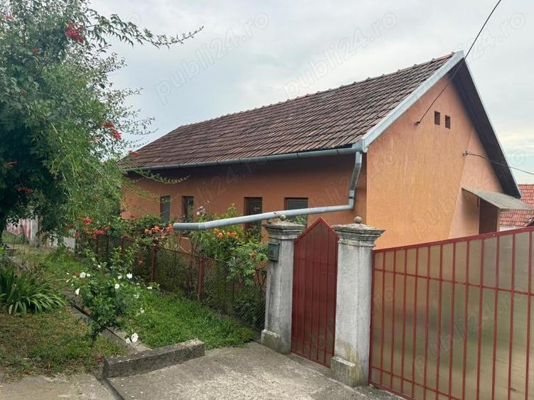 Casă cu 3 camere cu Teren 5200 Mp în Țela