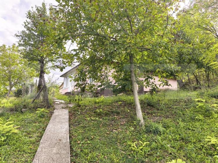 Casă individuală cu 4 camere cu Teren 2982 Mp în Costuleni