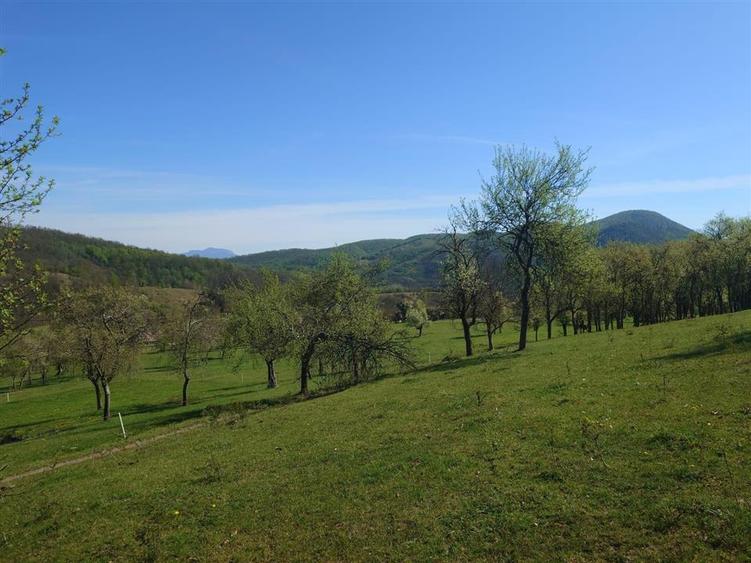 Teren intravilan de 11423 mp, în Luncoiu de Jos